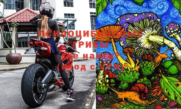 кокс Алексин