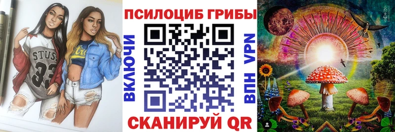 где купить наркоту  Курчалой  Галлюциногенные грибы мухоморы 