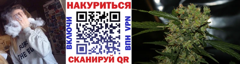 KRAKEN сайт  Курчалой  Каннабис гибрид  купить  